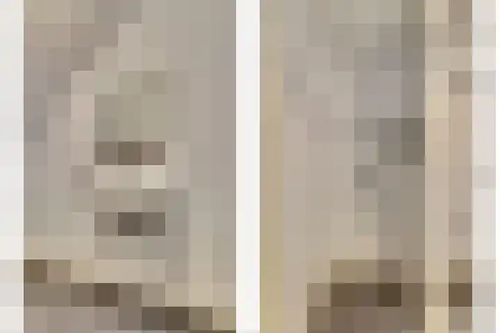 Servaashof 14 Helden thumbnail 16