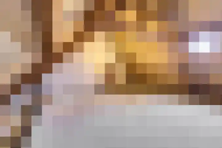 Servaashof 14 Helden thumbnail 17