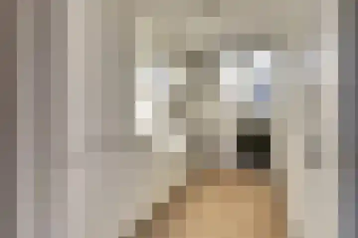 Servaashof 14 Helden thumbnail 7
