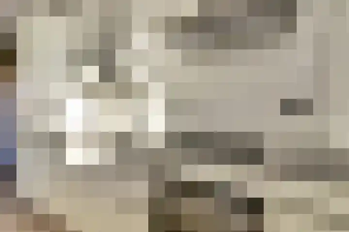 Servaashof 14 Helden thumbnail 8