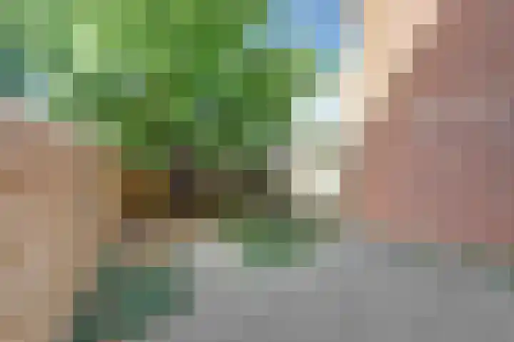 Servaashof 20 Helden thumbnail 16