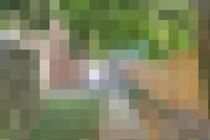 Servaashof 20 Helden thumbnail 17