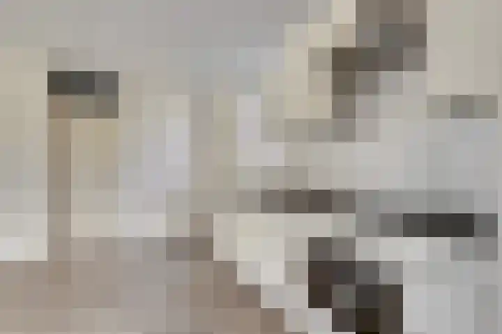 Servaashof 20 Helden thumbnail 5