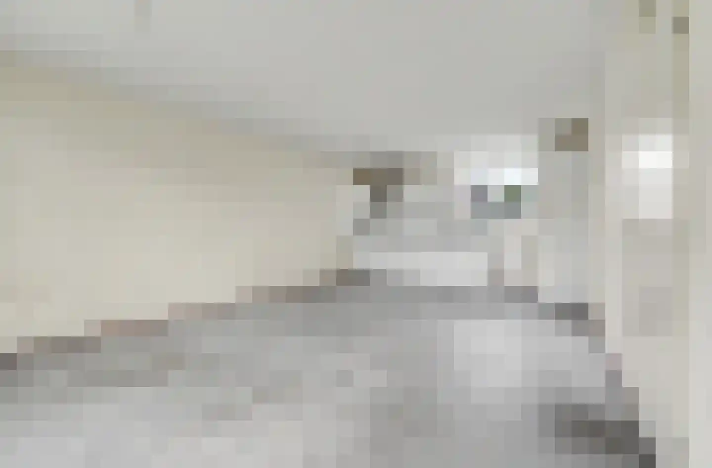Servaashof 28 Helden thumbnail 6