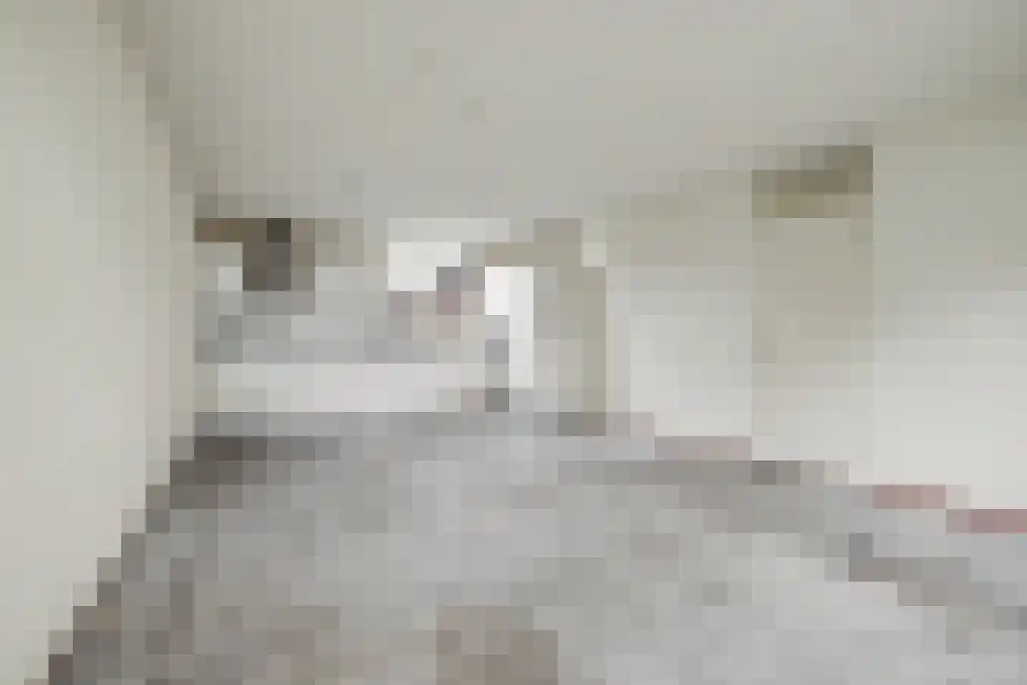Servaashof 28 Helden thumbnail 8