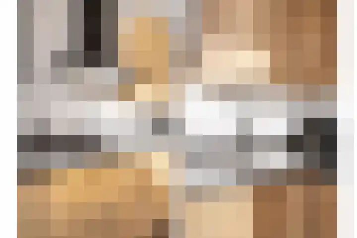 Servaashof 29 Helden thumbnail 11