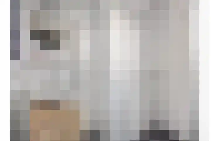 Servaashof 29 Helden thumbnail 15