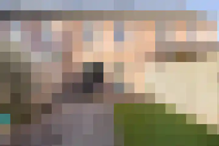 Servaashof 29 Helden thumbnail 23