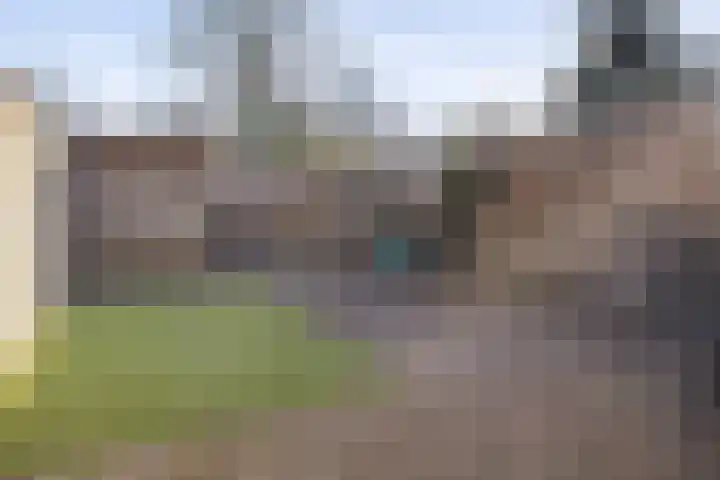 Servaashof 29 Helden thumbnail 24