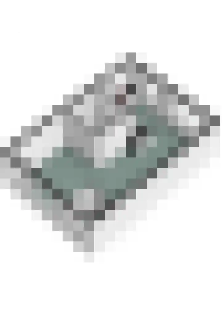 Servaashof 29 Helden thumbnail 31