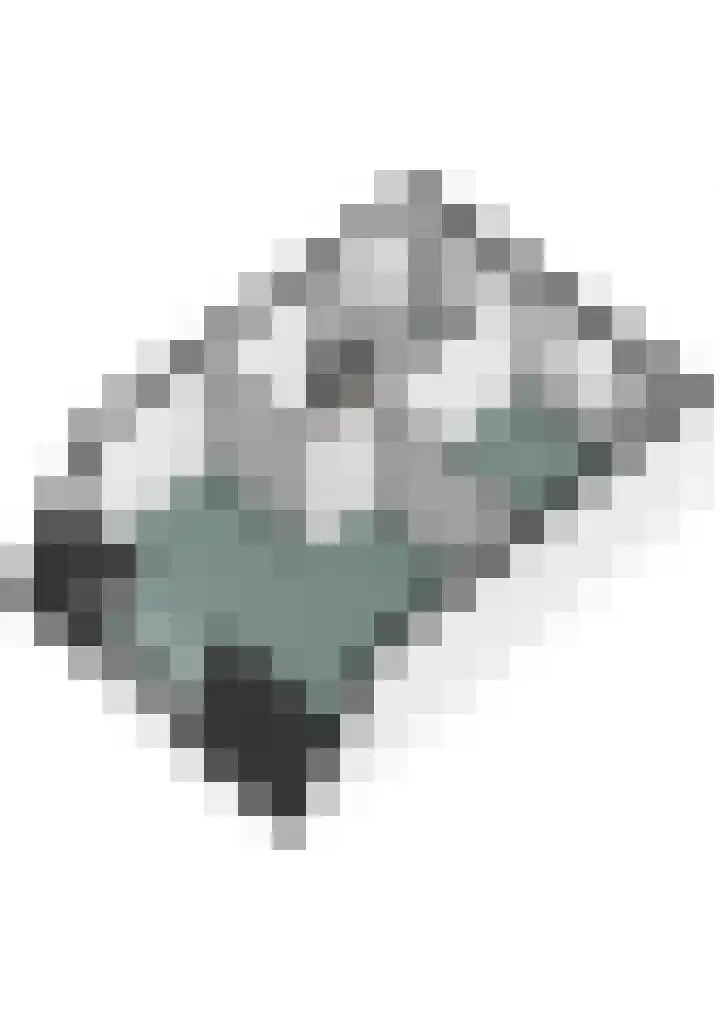 Servaashof 29 Helden thumbnail 33