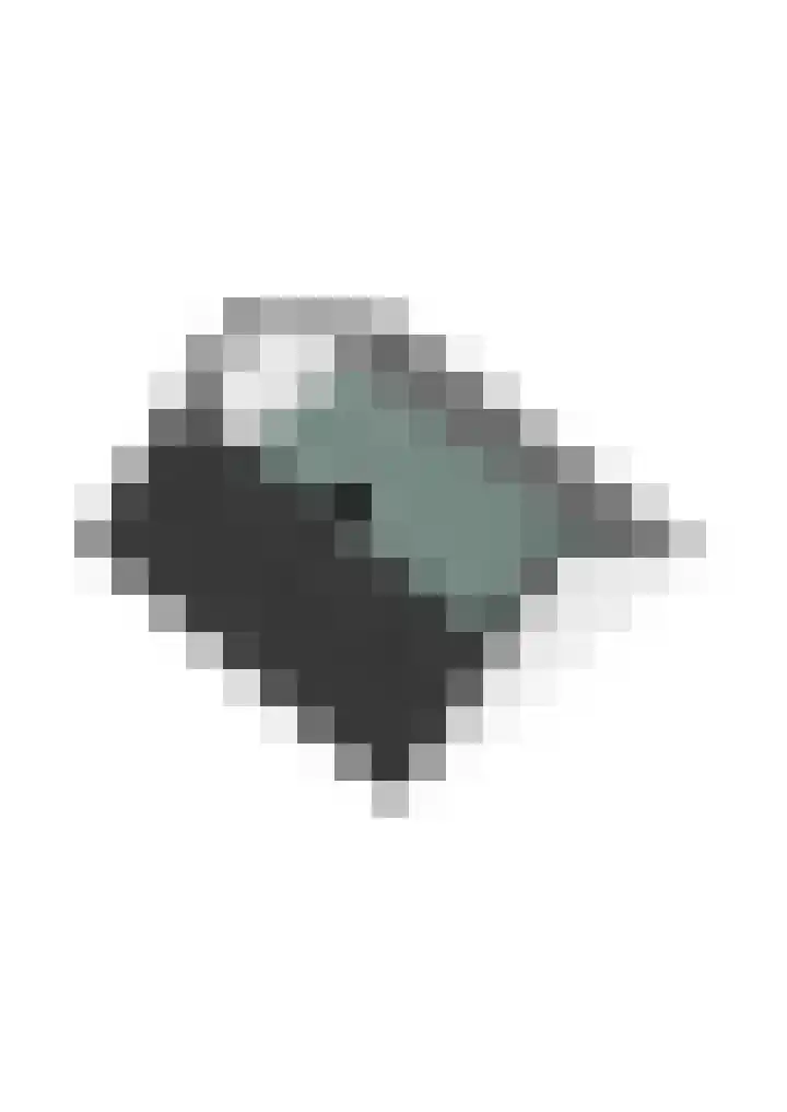Servaashof 29 Helden thumbnail 35