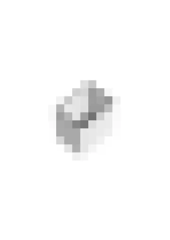 Servaashof 29 Helden thumbnail 37