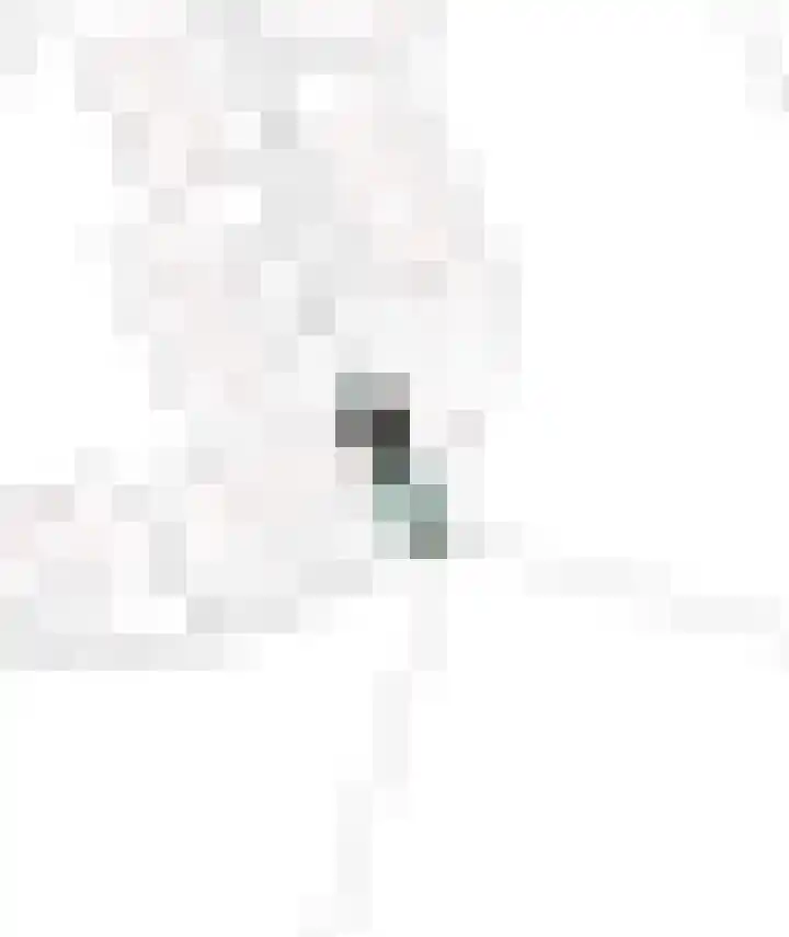 Servaashof 29 Helden thumbnail 38