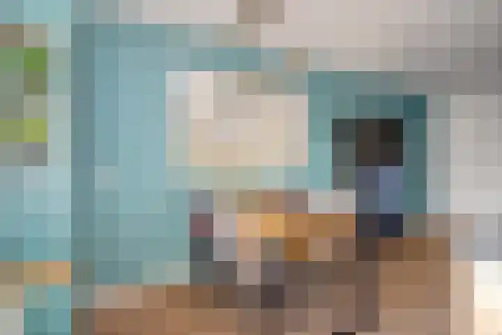 Servaashof 29 Helden thumbnail 9