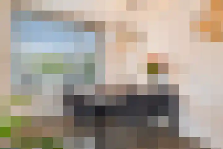 Servaashof 31 Helden thumbnail 11