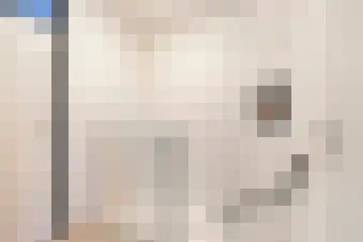 Servaashof 31 Helden thumbnail 18