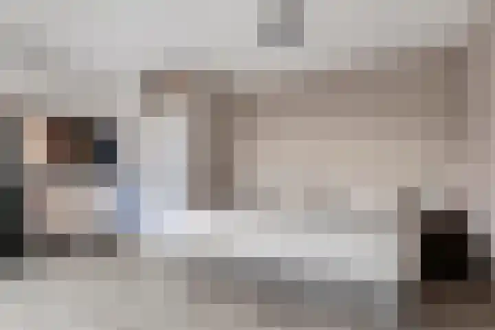 Servaashof 31 Helden thumbnail 22