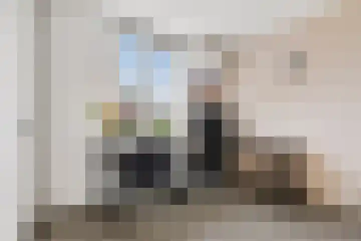 Servaashof 31 Helden thumbnail 23
