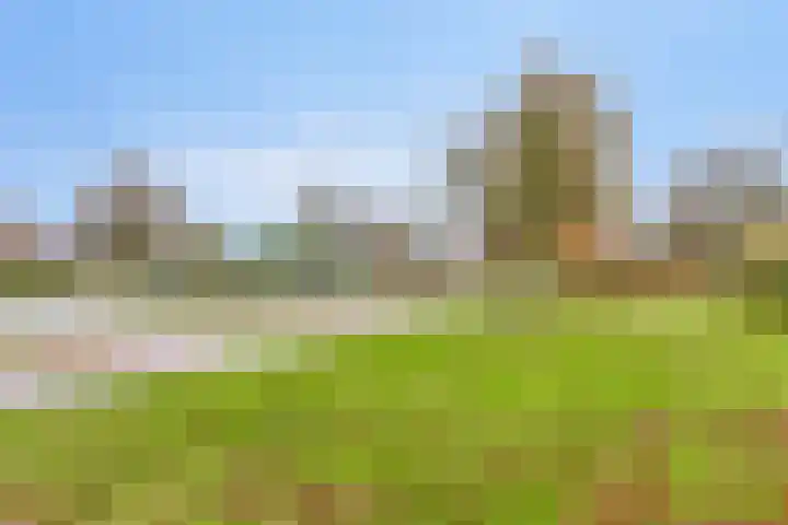 Servaashof 31 Helden thumbnail 41