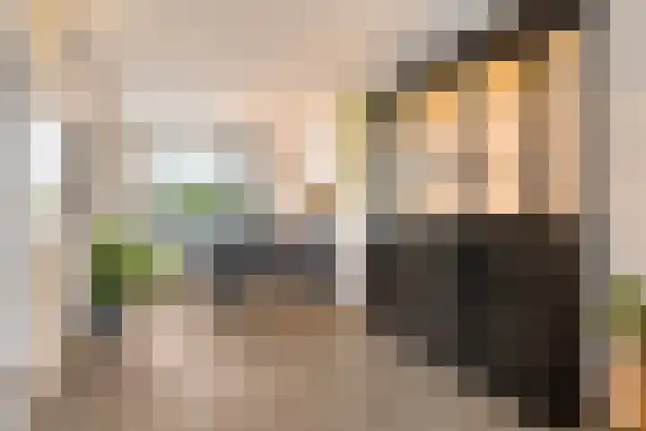 Servaashof 31 Helden thumbnail 9