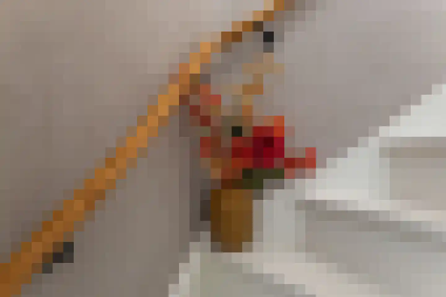 Servaashof 5 Helden thumbnail 16