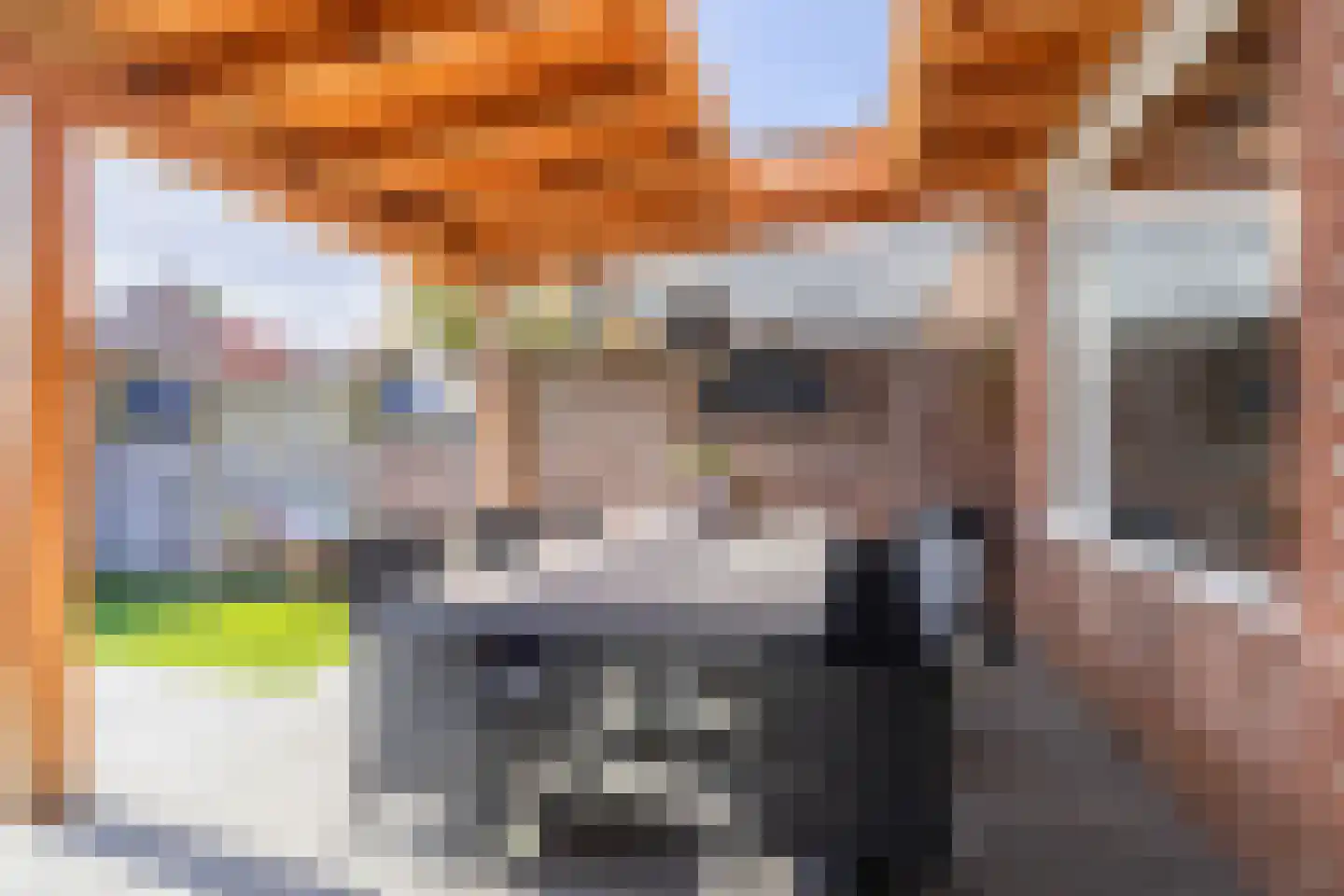 Servaashof 5 Helden thumbnail 29