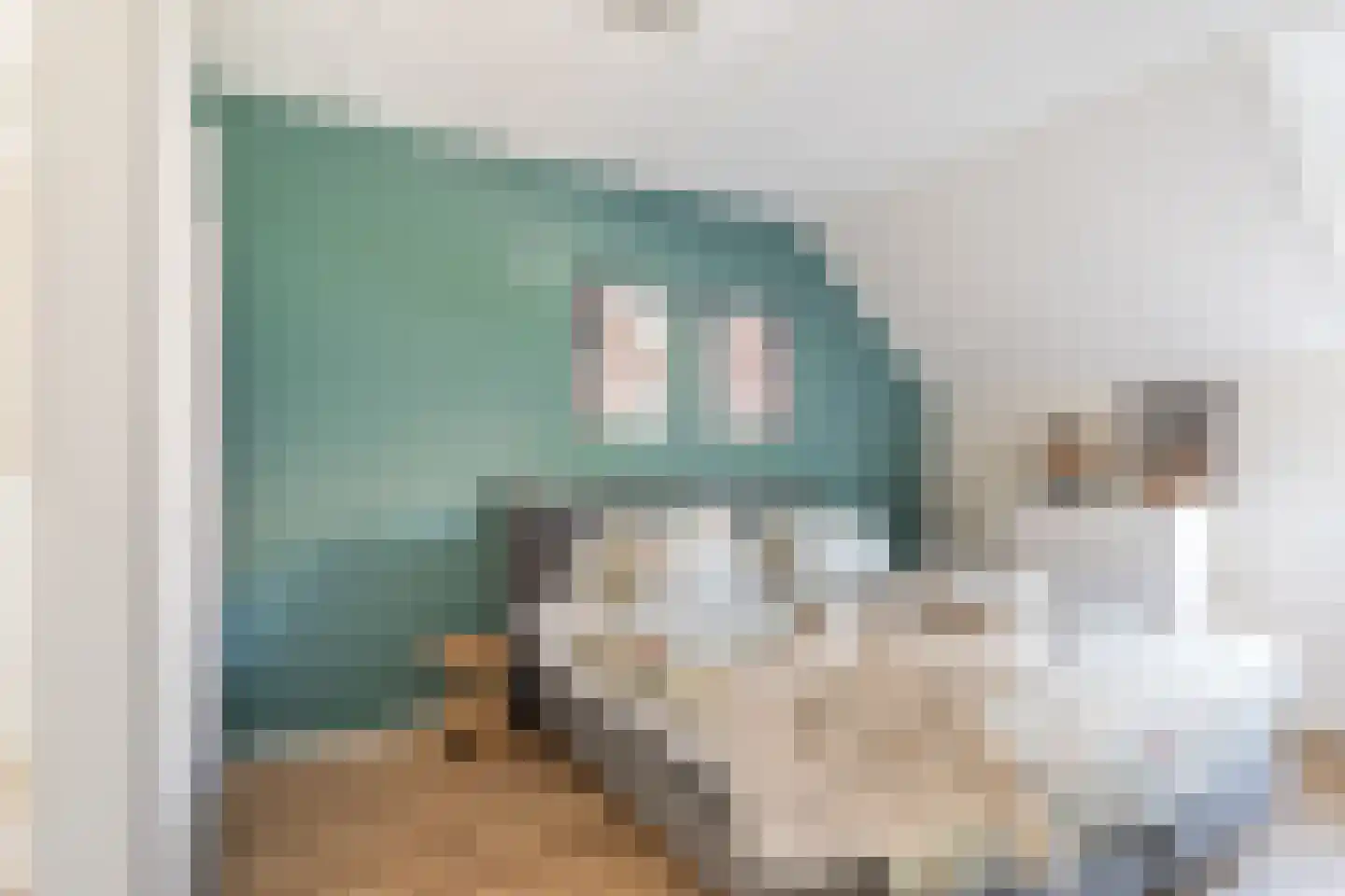 Servaashof 5 Helden foto 3