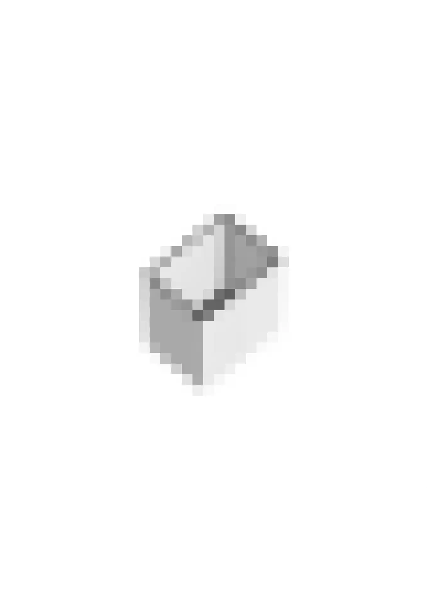 Servaashof 5 Helden thumbnail 48