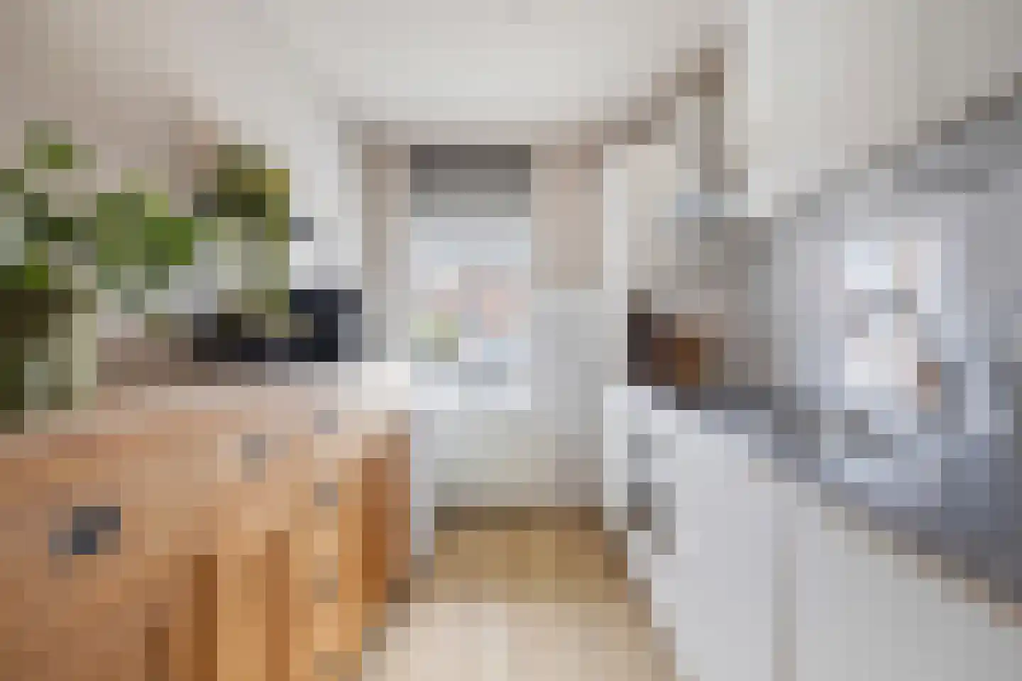 Servaashof 6 Helden thumbnail 10