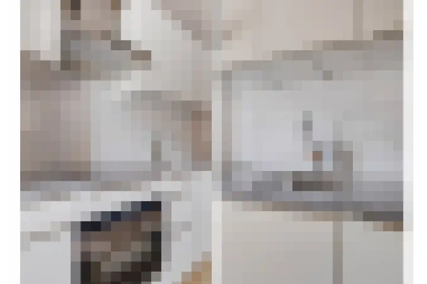 Servaashof 6 Helden thumbnail 12