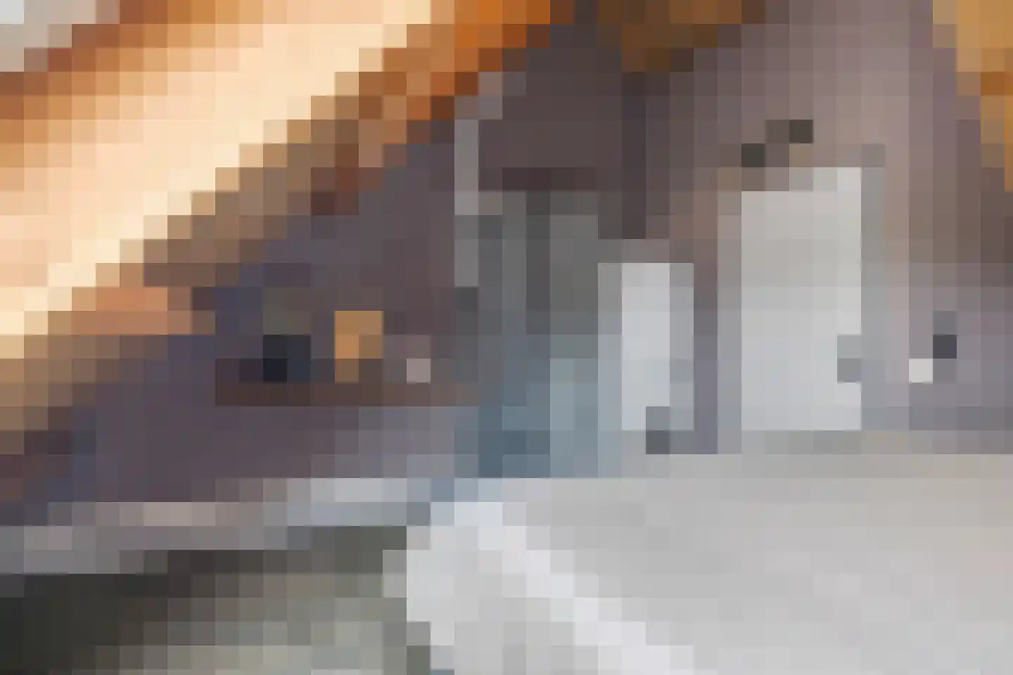 Servaashof 6 Helden thumbnail 24