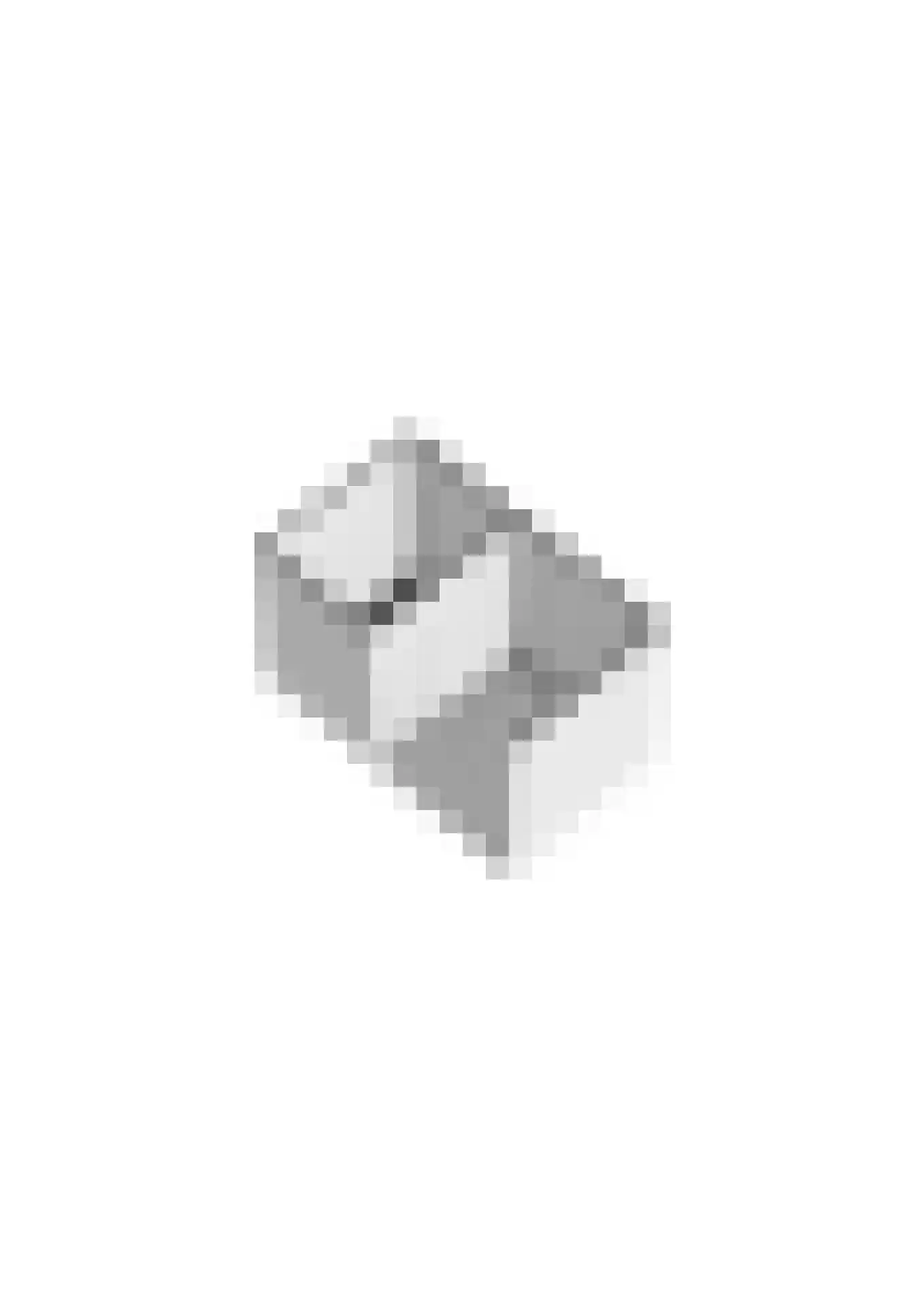Servaashof 6 Helden thumbnail 38
