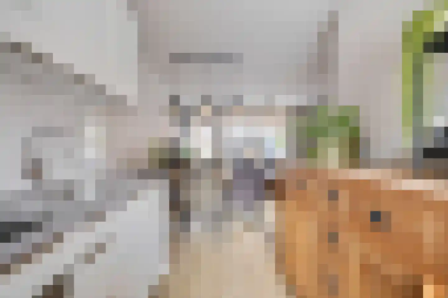 Servaashof 6 Helden thumbnail 4