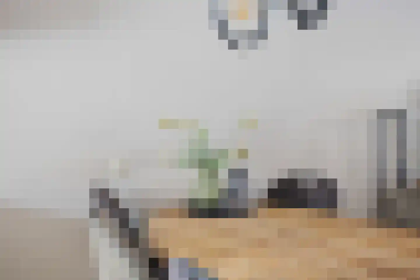Servaashof 6 Helden thumbnail 9