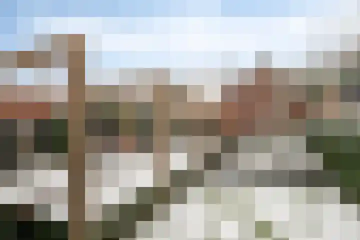 Servaasstraat 35 Lieshout thumbnail 32