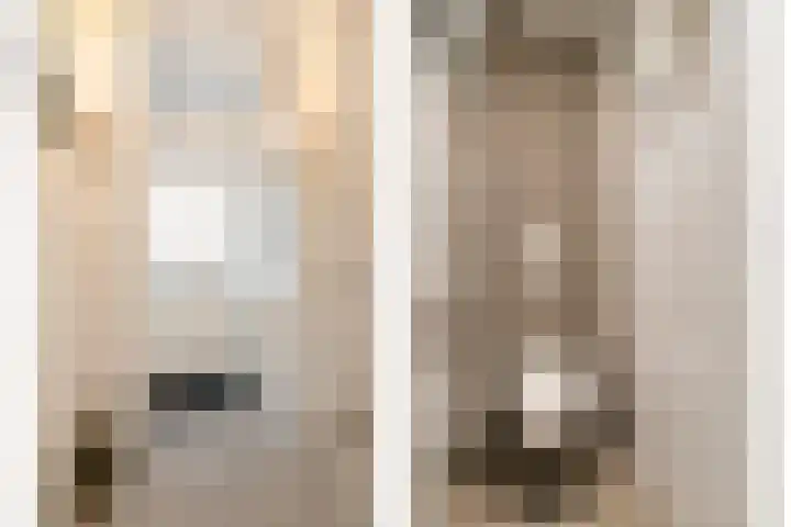 Servaasstraat 35 Lieshout thumbnail 5