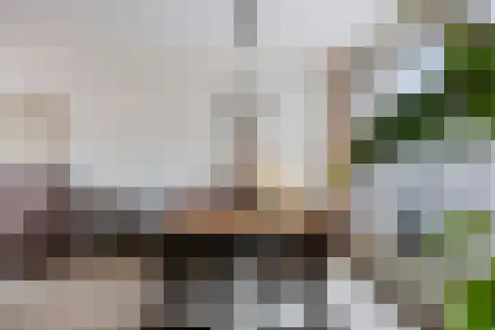 Servaasstraat 37 Lieshout thumbnail 18