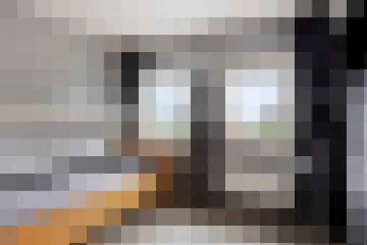 Servaasstraat 37 Lieshout thumbnail 31