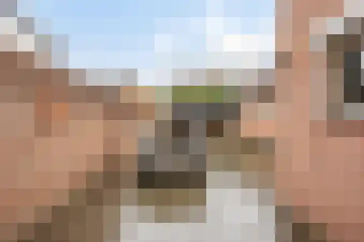 Servaasstraat 37 Lieshout thumbnail 38