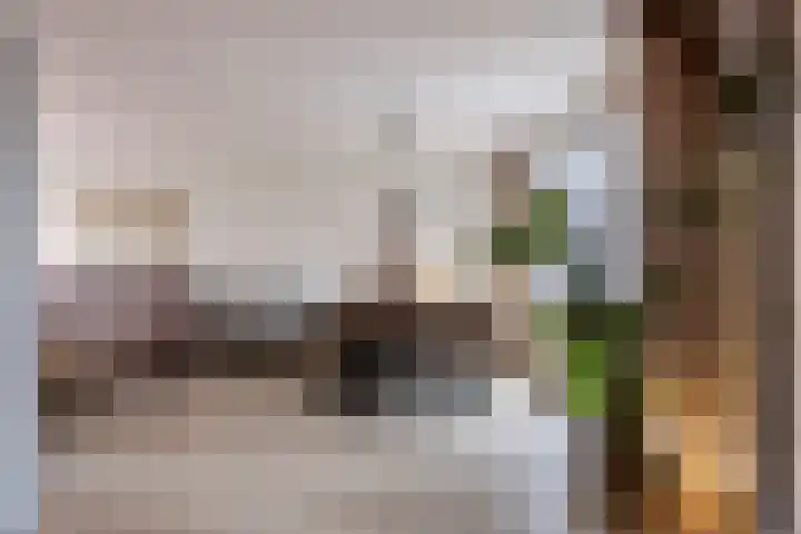 Servaasstraat 37 Lieshout thumbnail 4