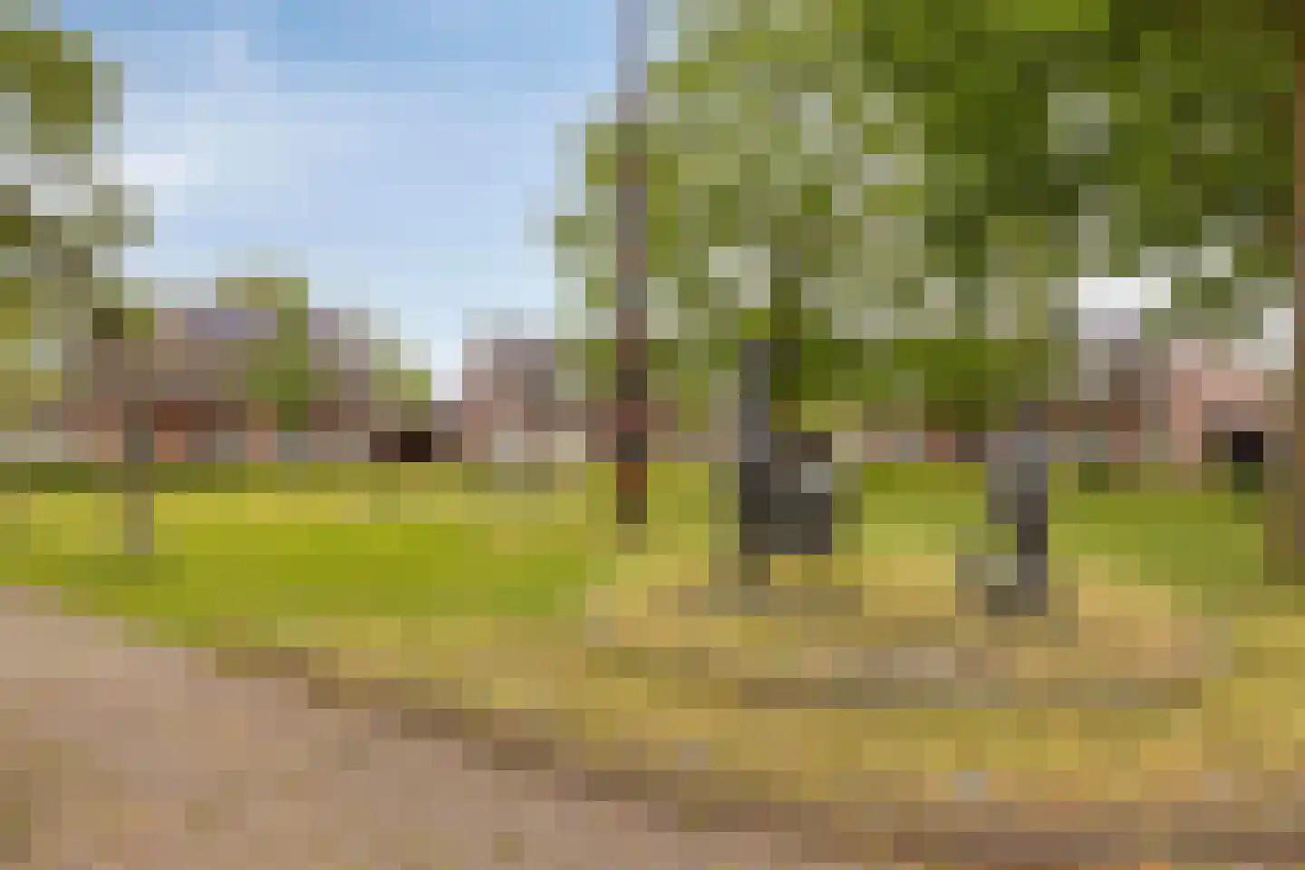 Servaasstraat 37 Lieshout thumbnail 52