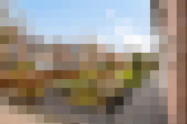 Servaasstraat 37 Lieshout thumbnail 9