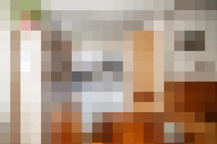 Servatiusstraat 10 Zoeterwoude thumbnail 13