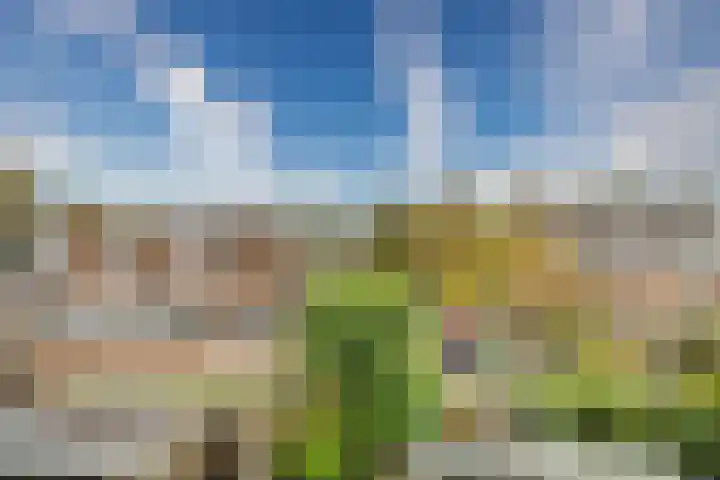 Servatiusstraat 10 Zoeterwoude thumbnail 48