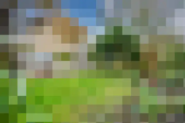 Servatiusstraat 10 Zoeterwoude thumbnail 51