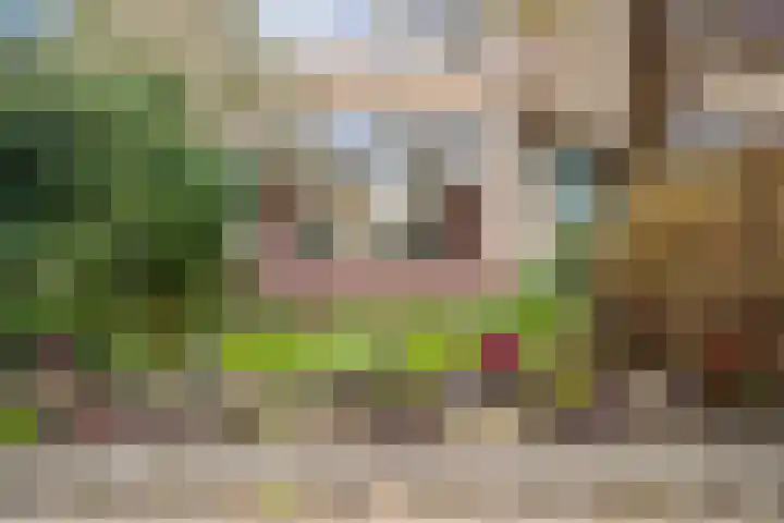 Servatiusstraat 10 Zoeterwoude thumbnail 52