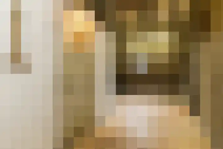 Servatiusstraat 15 Nuth thumbnail 34
