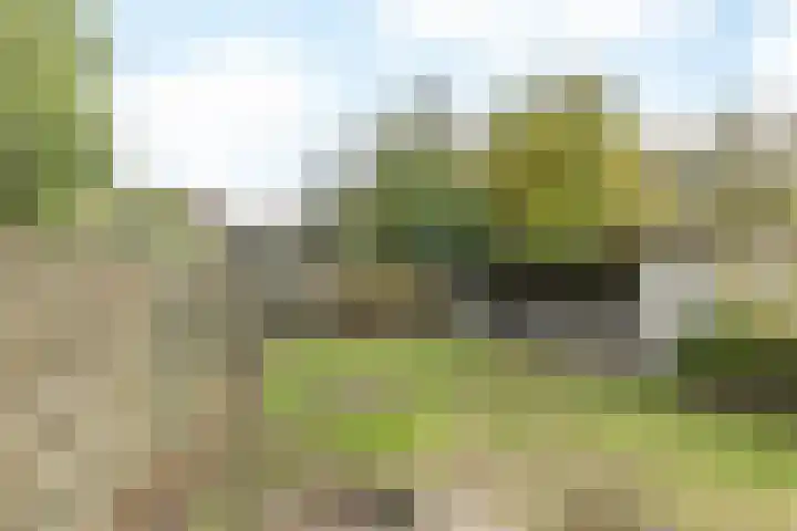 Servatiusstraat 15 Nuth thumbnail 37