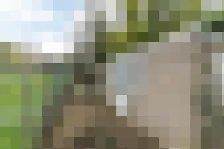 Servatiusstraat 15 Nuth thumbnail 38